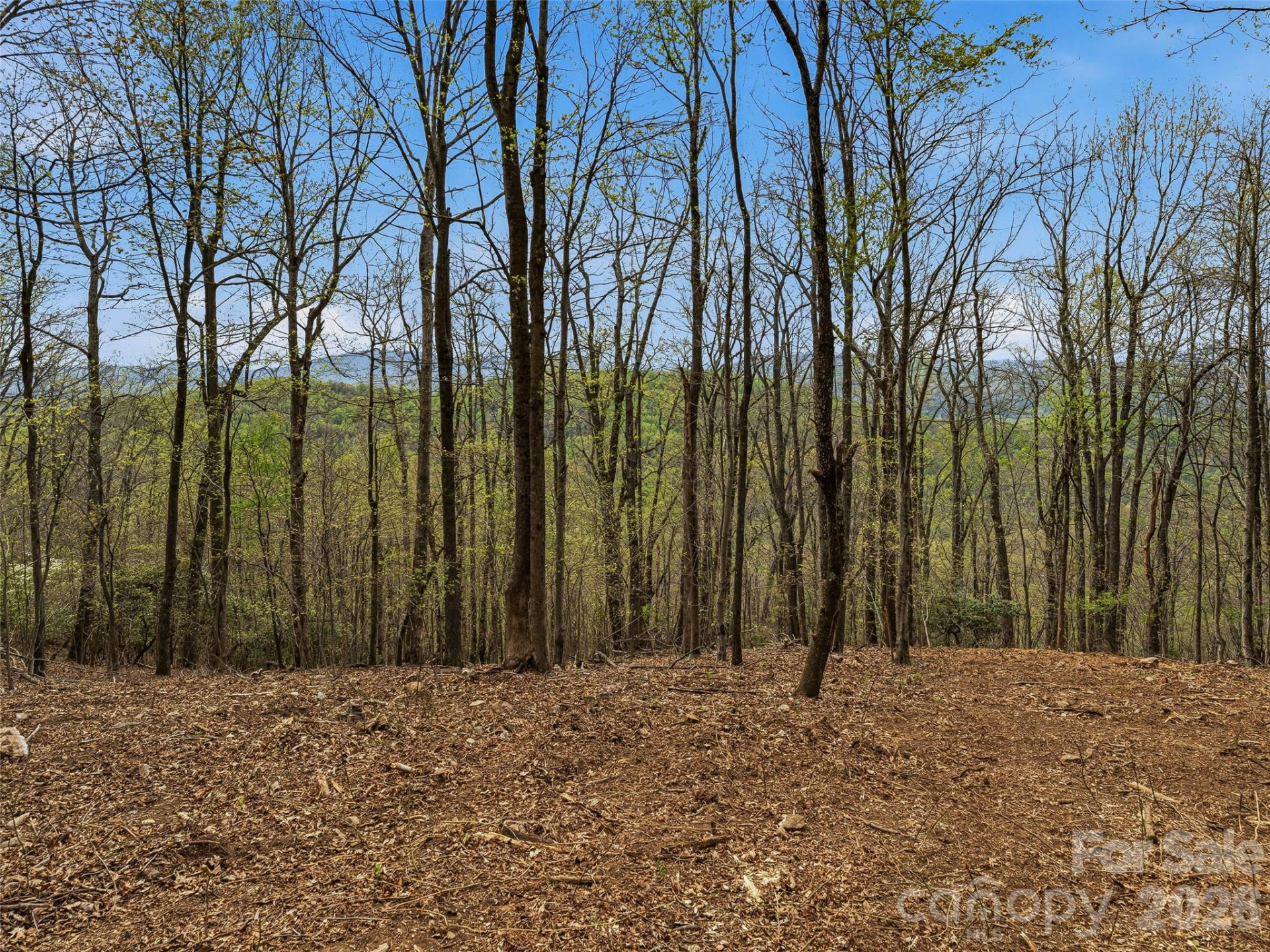 4164 Laurel Park Highway #10 - Photo 21