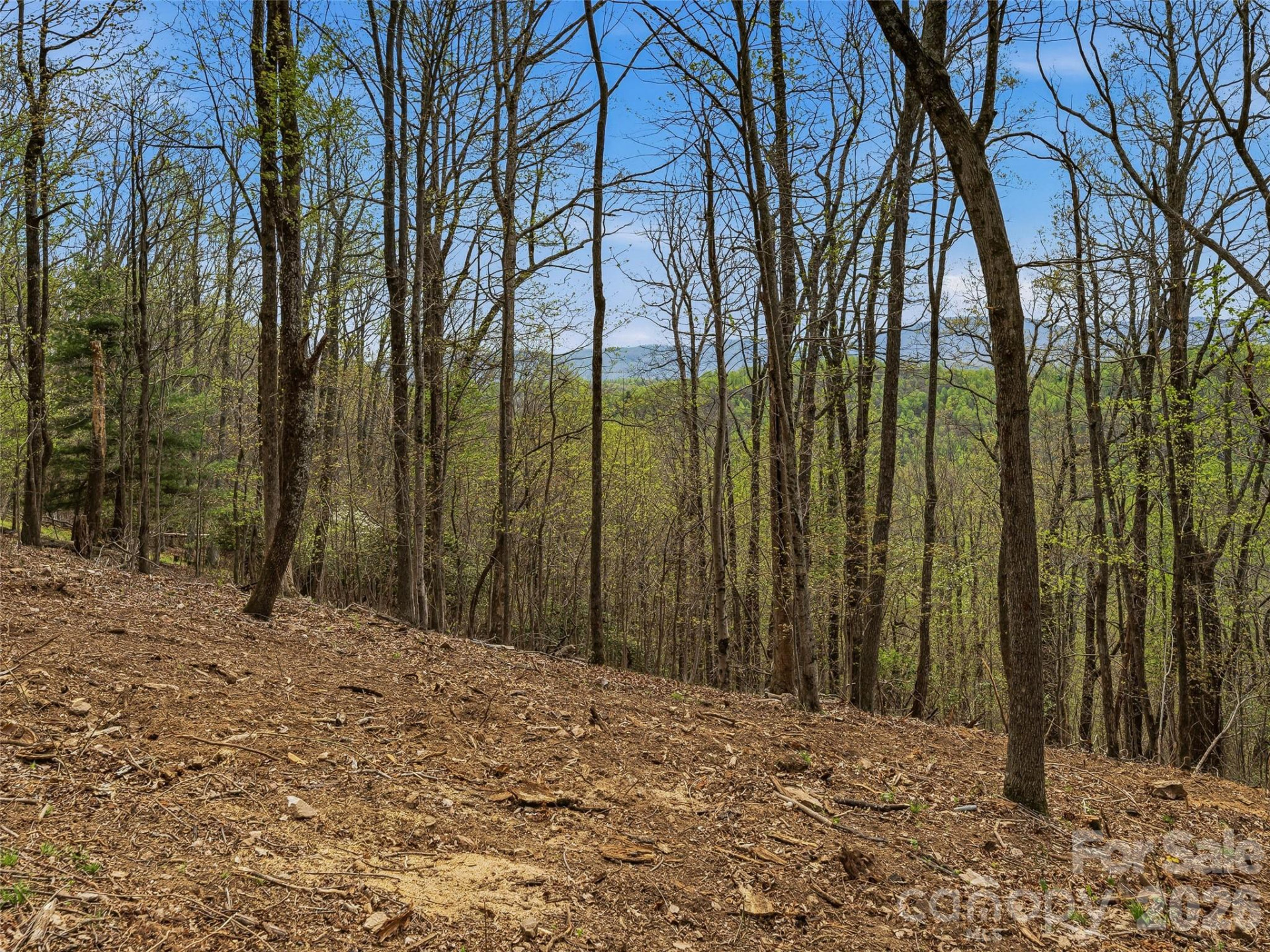 4164 Laurel Park Highway #10 - Photo 22