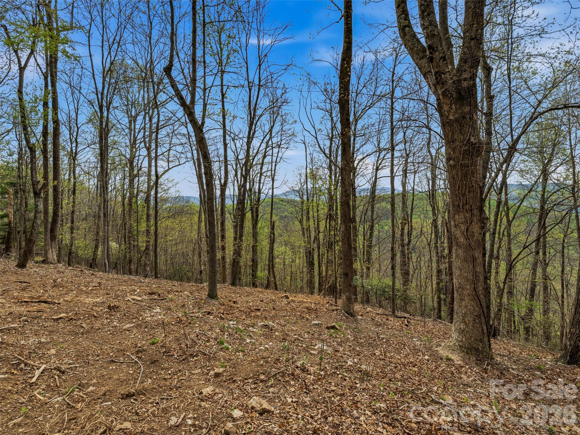 4164 Laurel Park Highway #10 - Photo 23