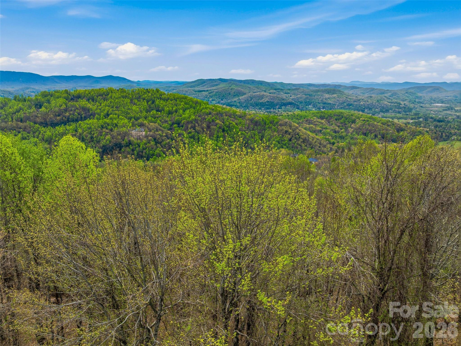 4164 Laurel Park Highway #10 - Photo 8