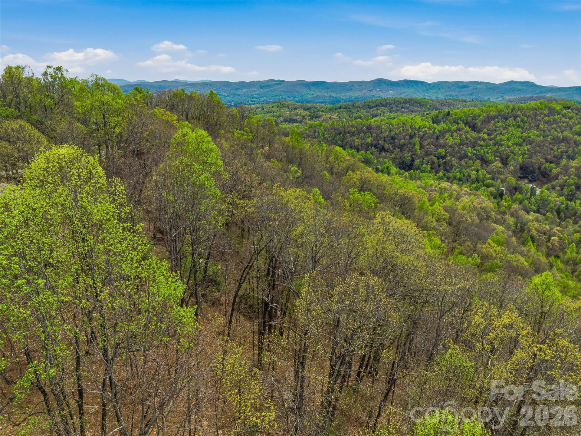 4164 Laurel Park Highway #10 - Photo 9