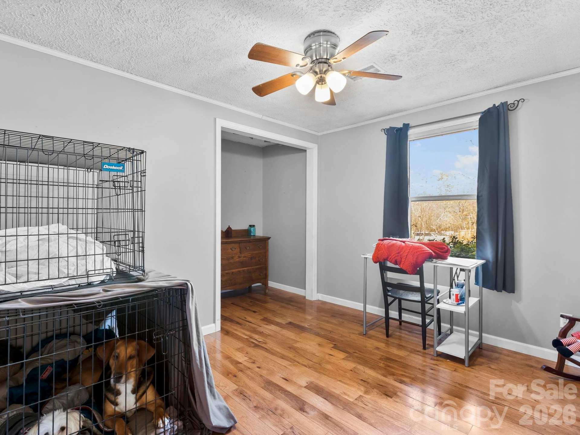 17 Bannister Drive - Photo 32