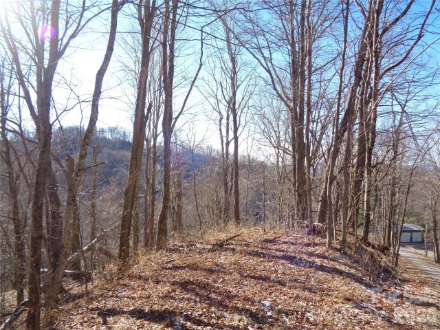 000 Listening Cove, Clyde, NC, 28721