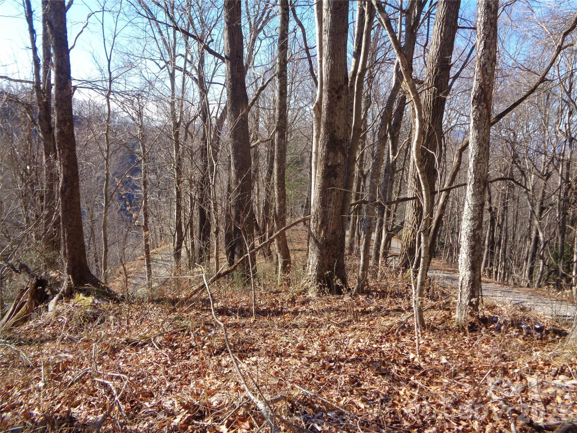 000 Listening Cove #42 - Photo 2