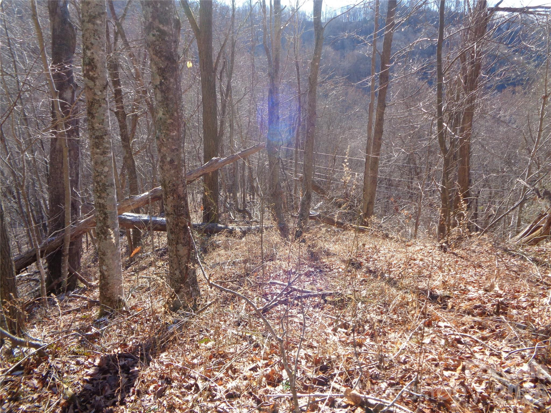 000 Listening Cove #42 - Photo 11