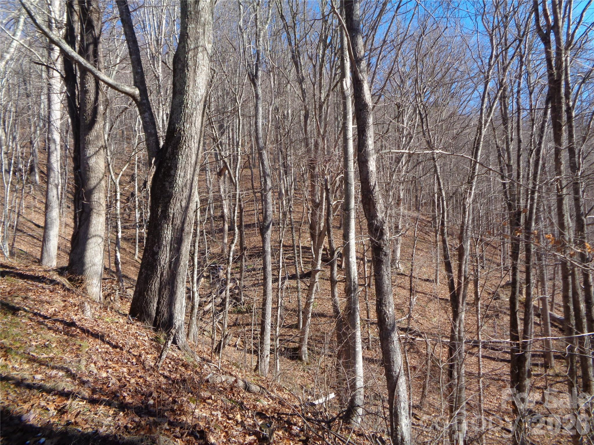 000 Listening Cove #42 - Photo 13