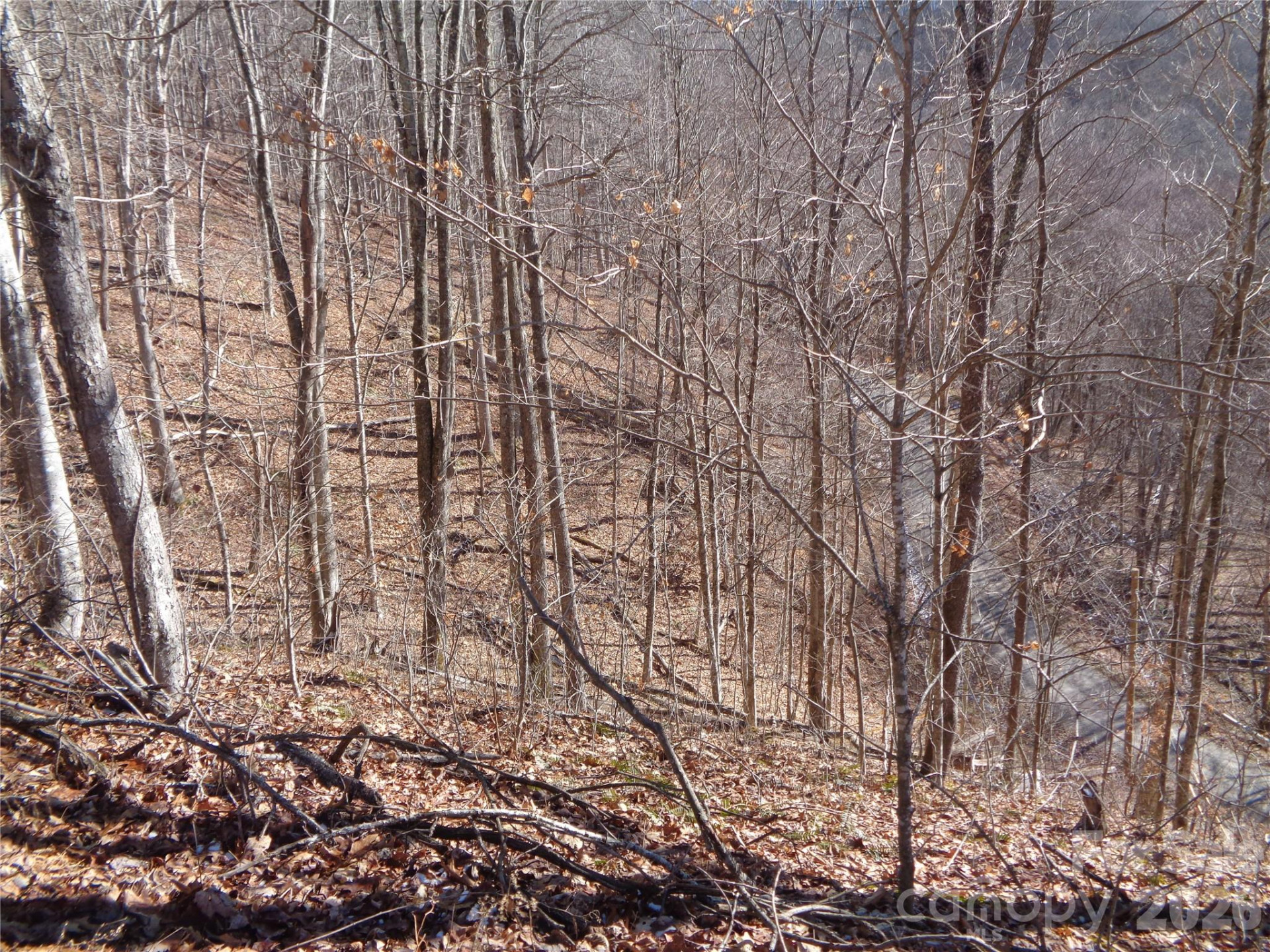 000 Listening Cove #42 - Photo 14