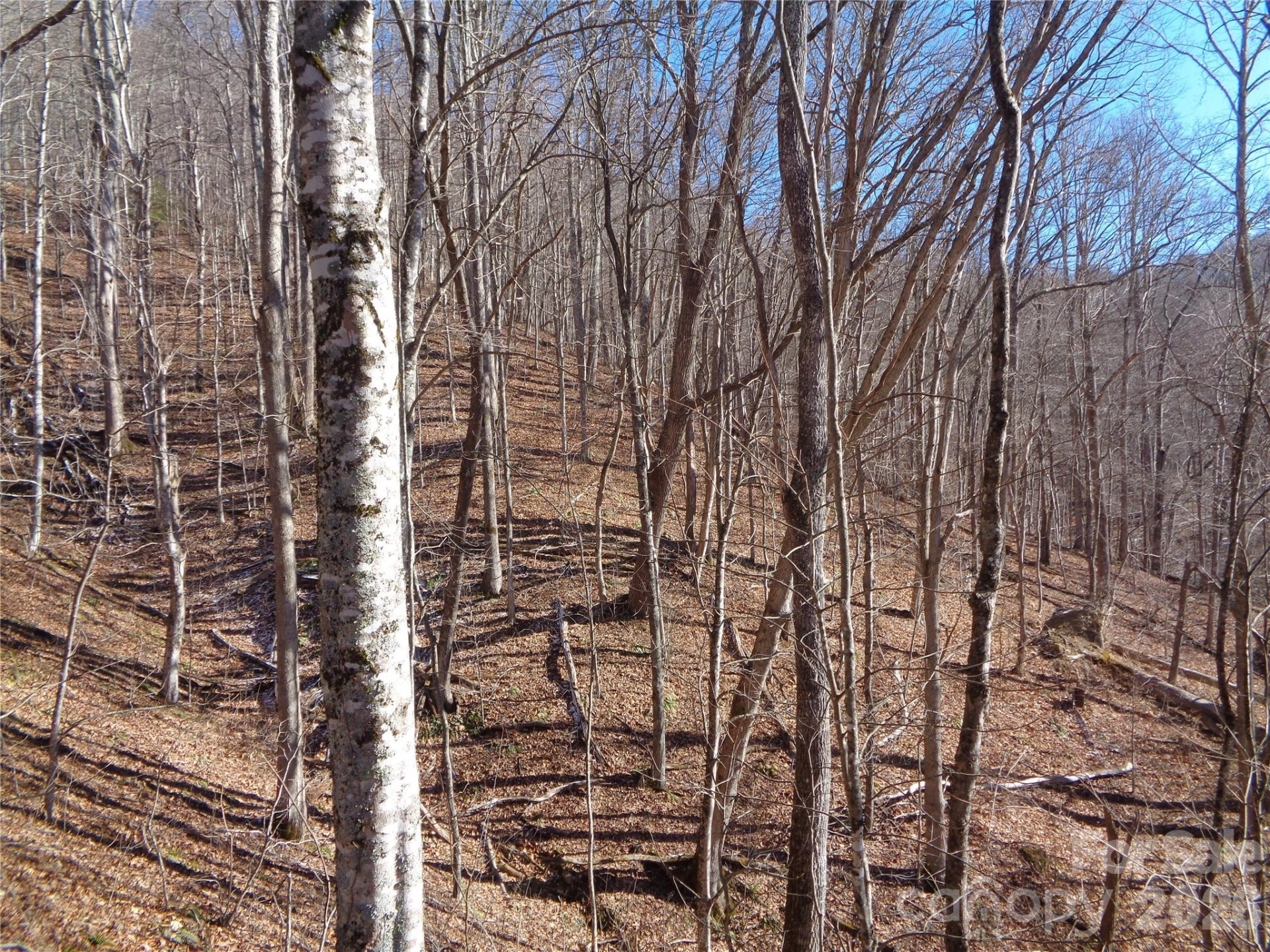 000 Listening Cove #42 - Photo 3