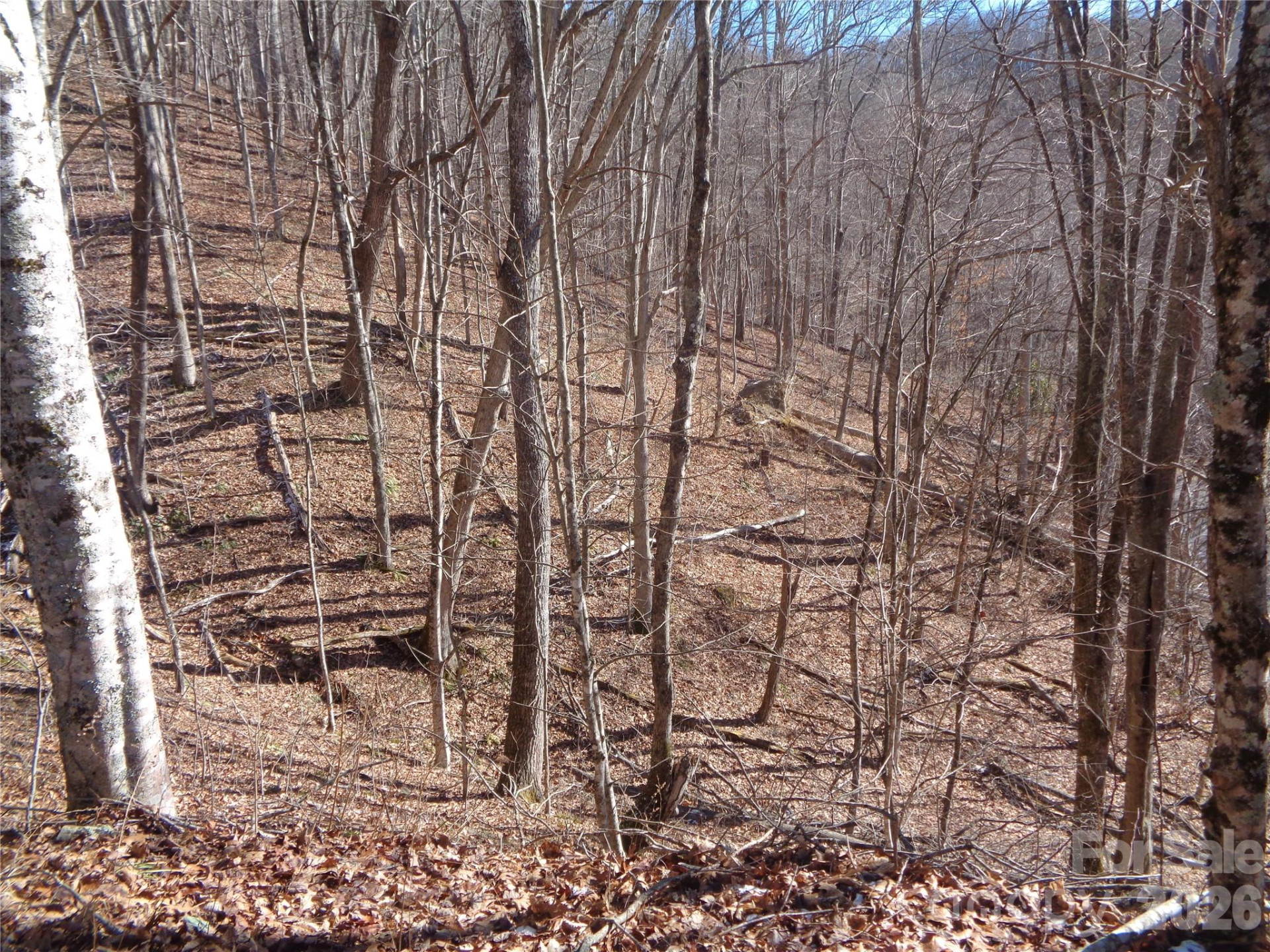 000 Listening Cove #42 - Photo 5