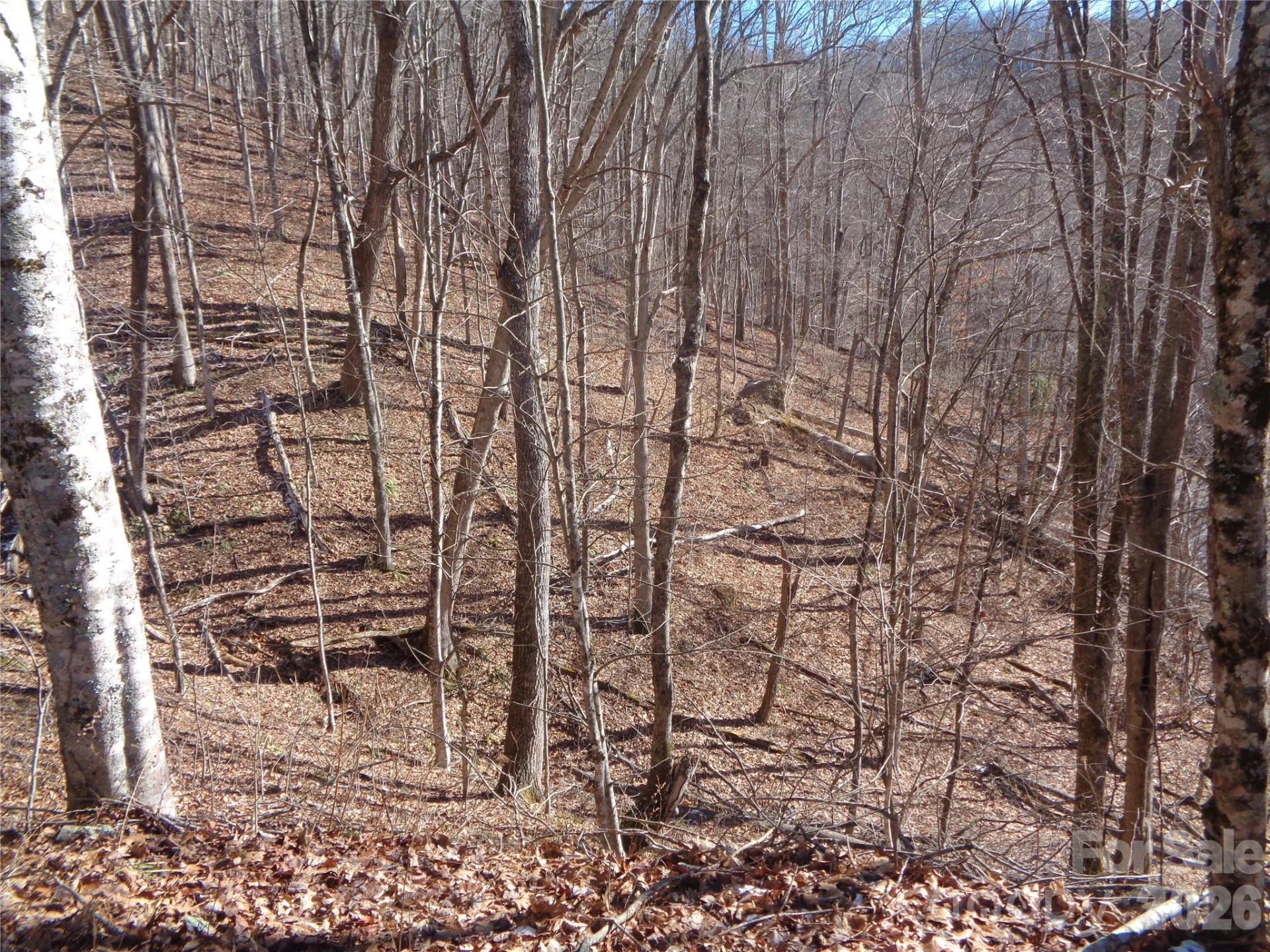 000 Listening Cove #42 - Photo 5