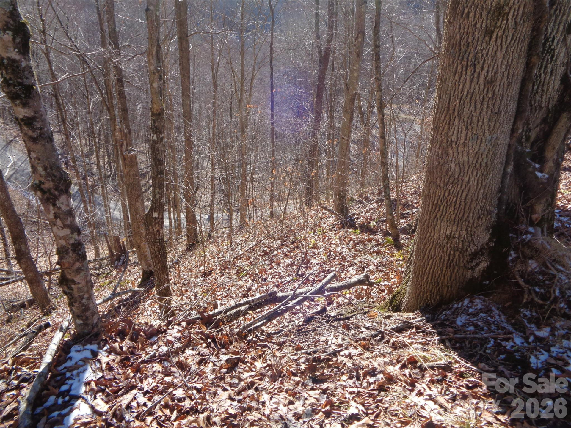 000 Listening Cove #42 - Photo 7