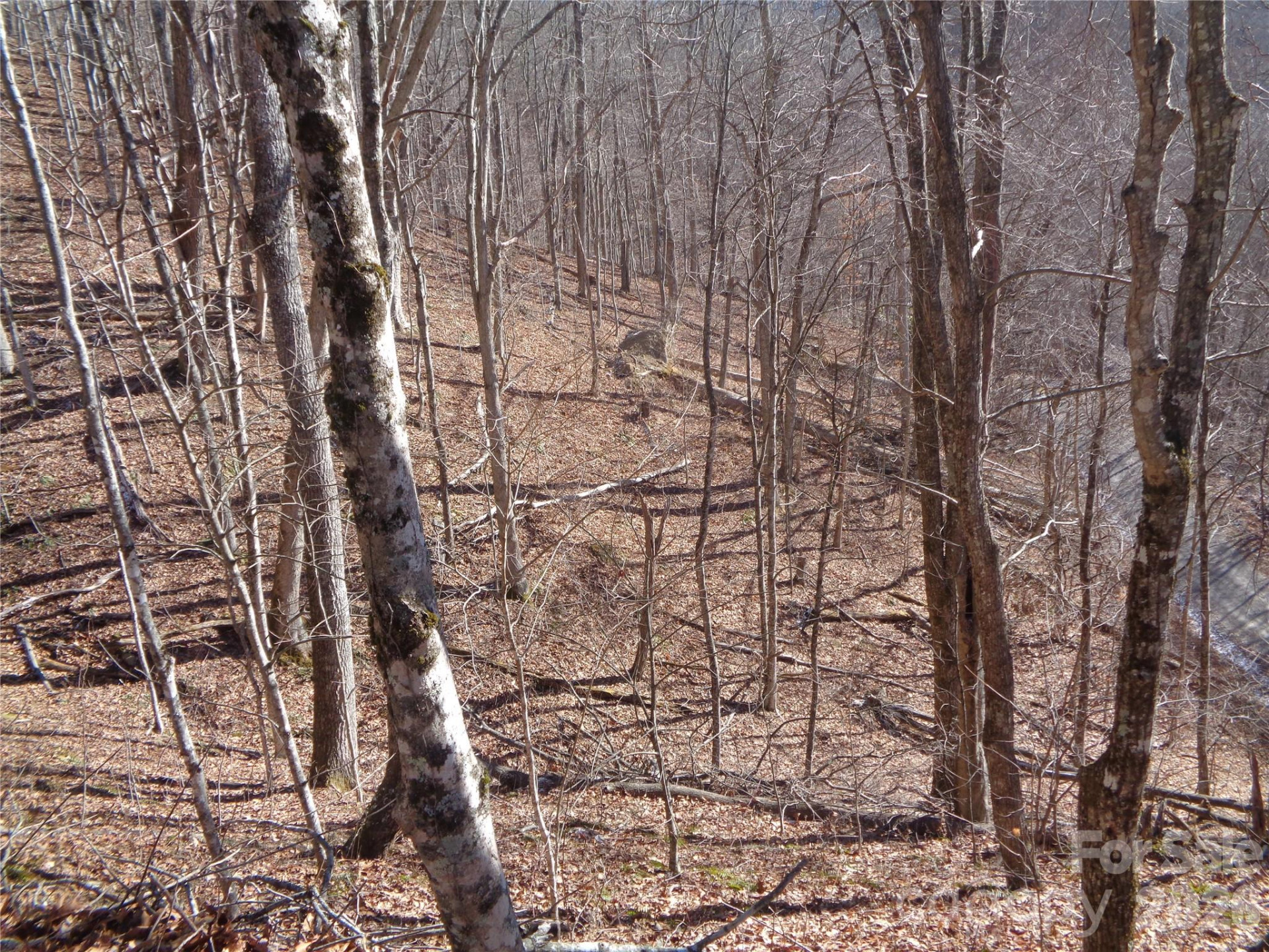 000 Listening Cove #42 - Photo 8