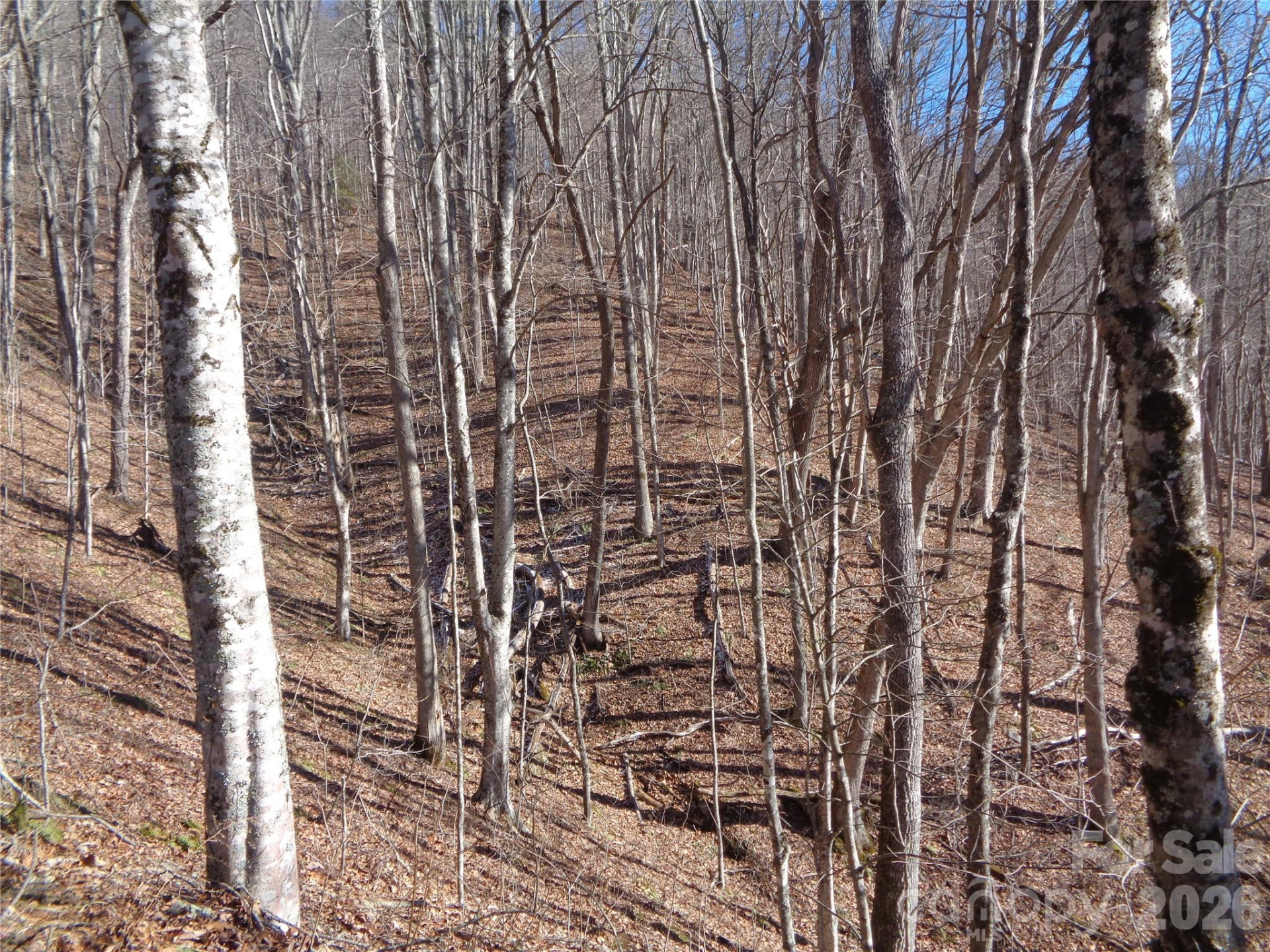 000 Listening Cove #42 - Photo 9