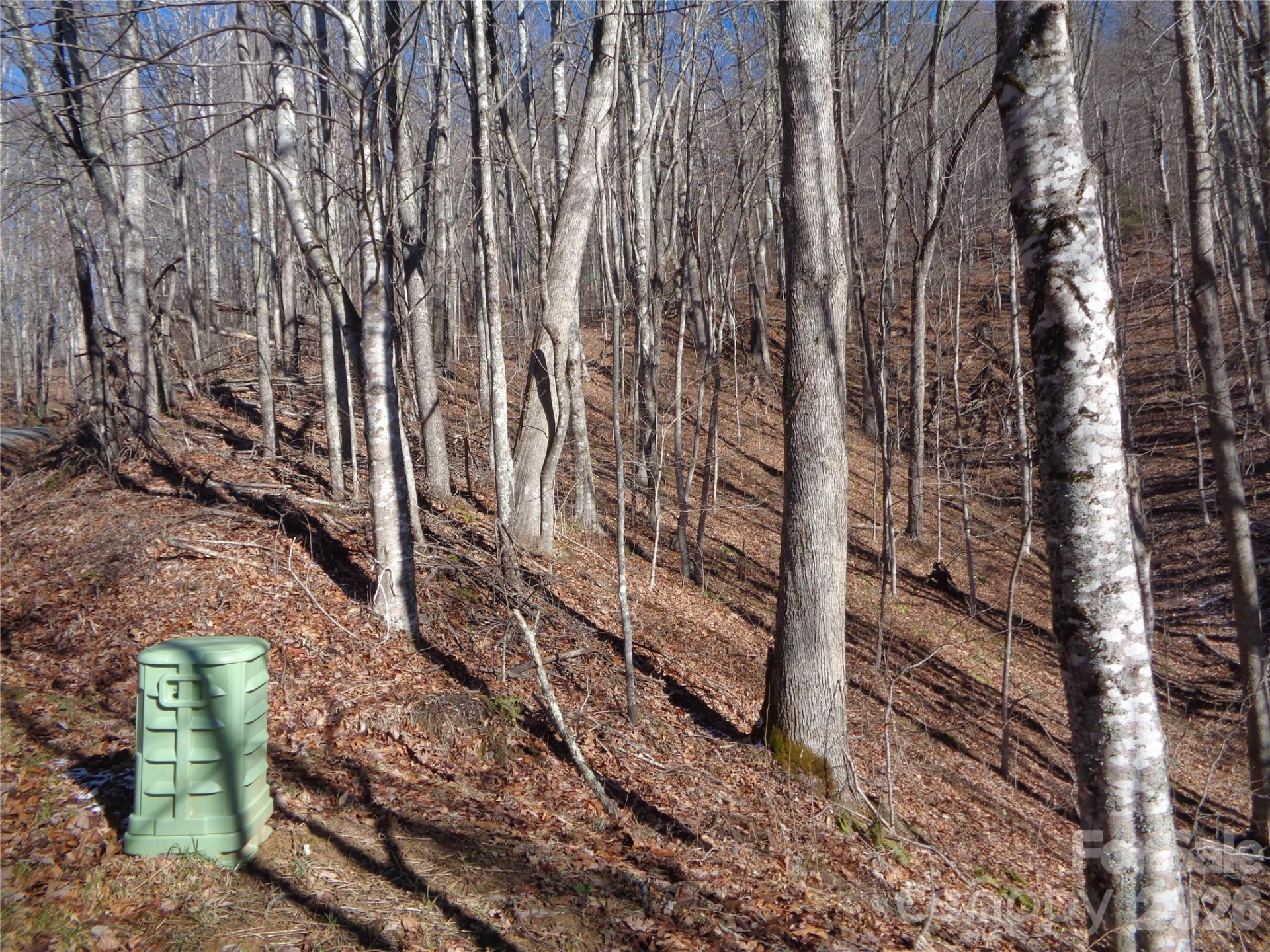 000 Listening Cove #42 - Photo 10