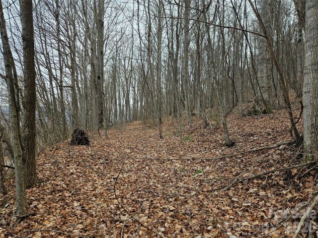 000 Slippery Rock Lane, Waynesville, NC, 28785