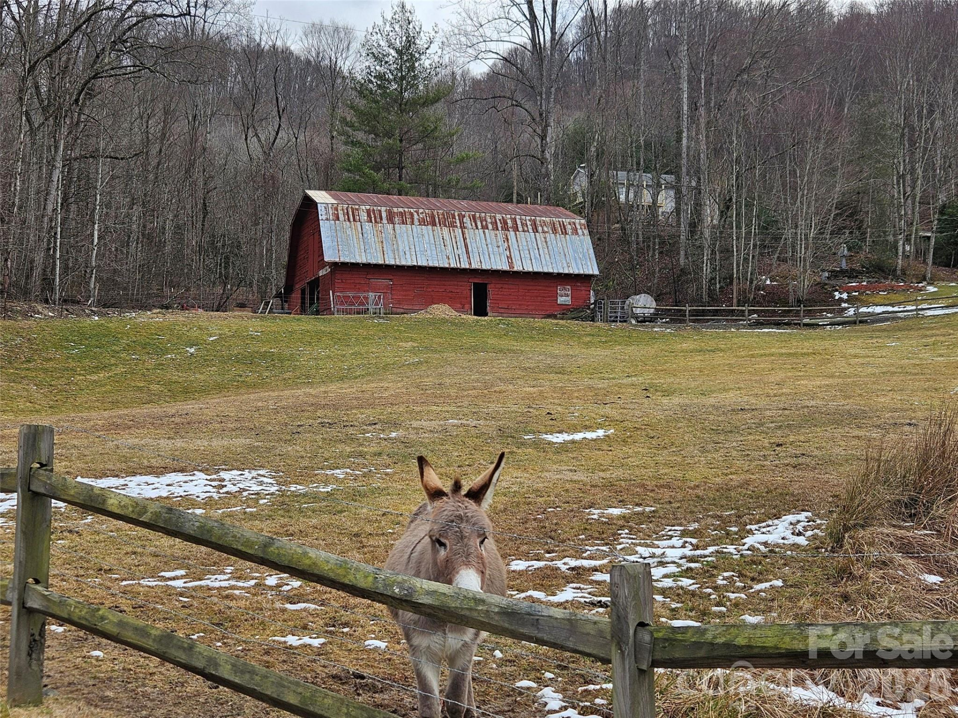 000 Slippery Rock Lane - Photo 13