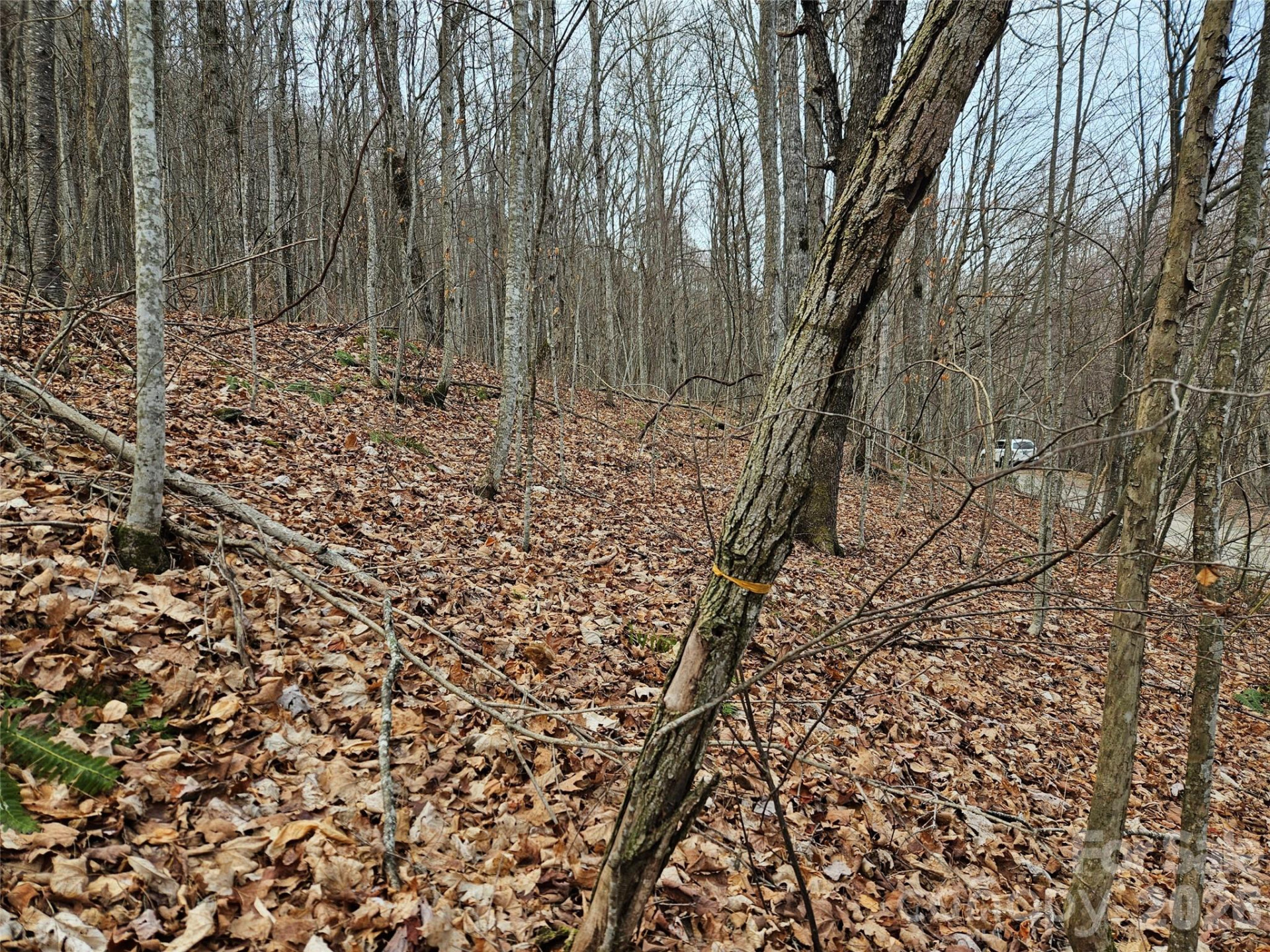 000 Slippery Rock Lane - Photo 3