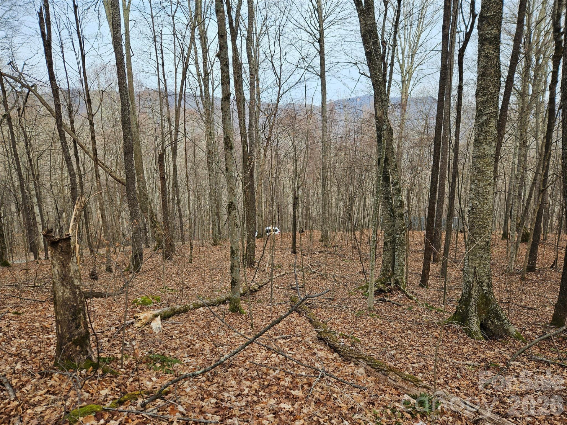 000 Slippery Rock Lane - Photo 5