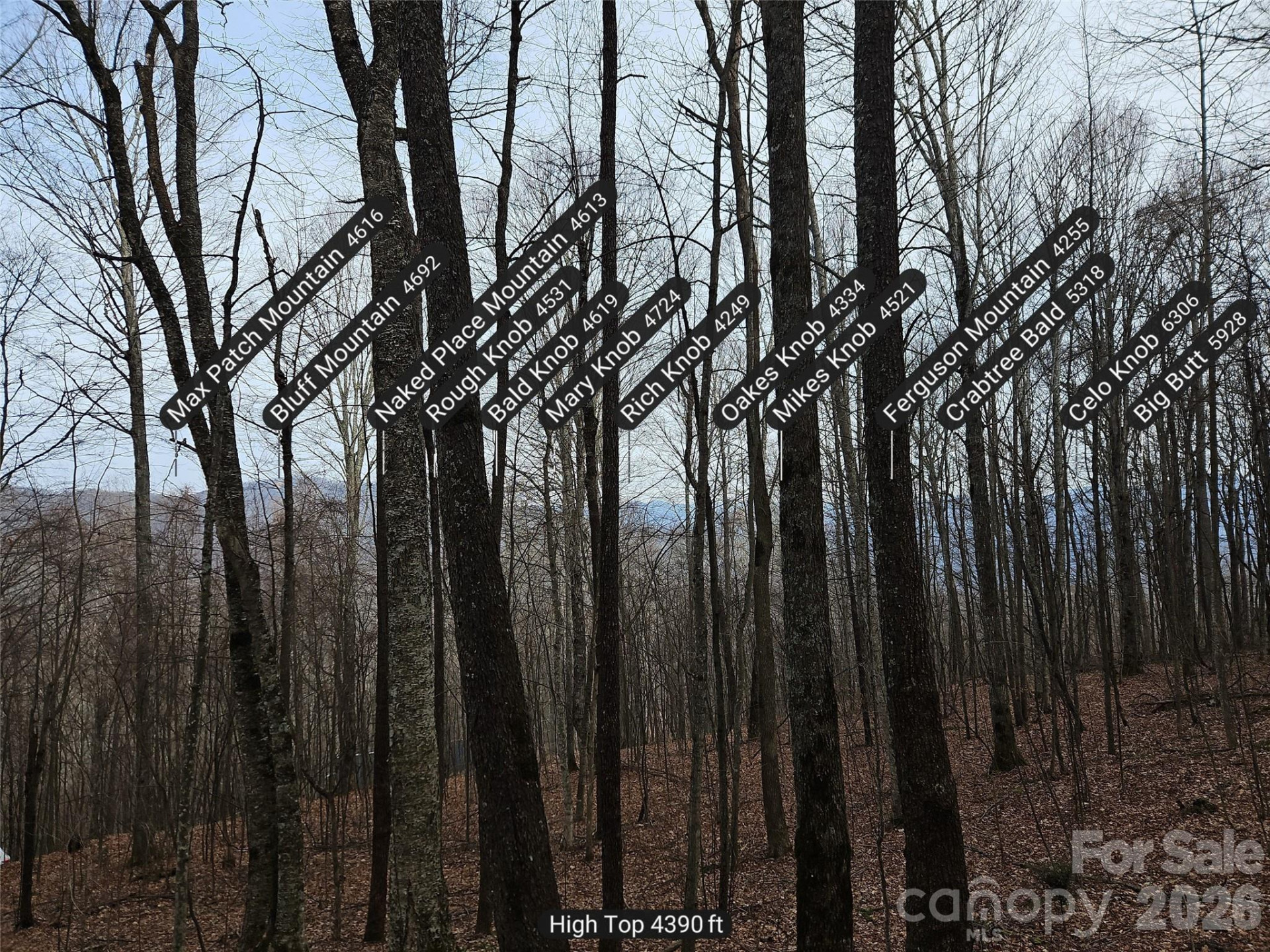 000 Slippery Rock Lane - Photo 6