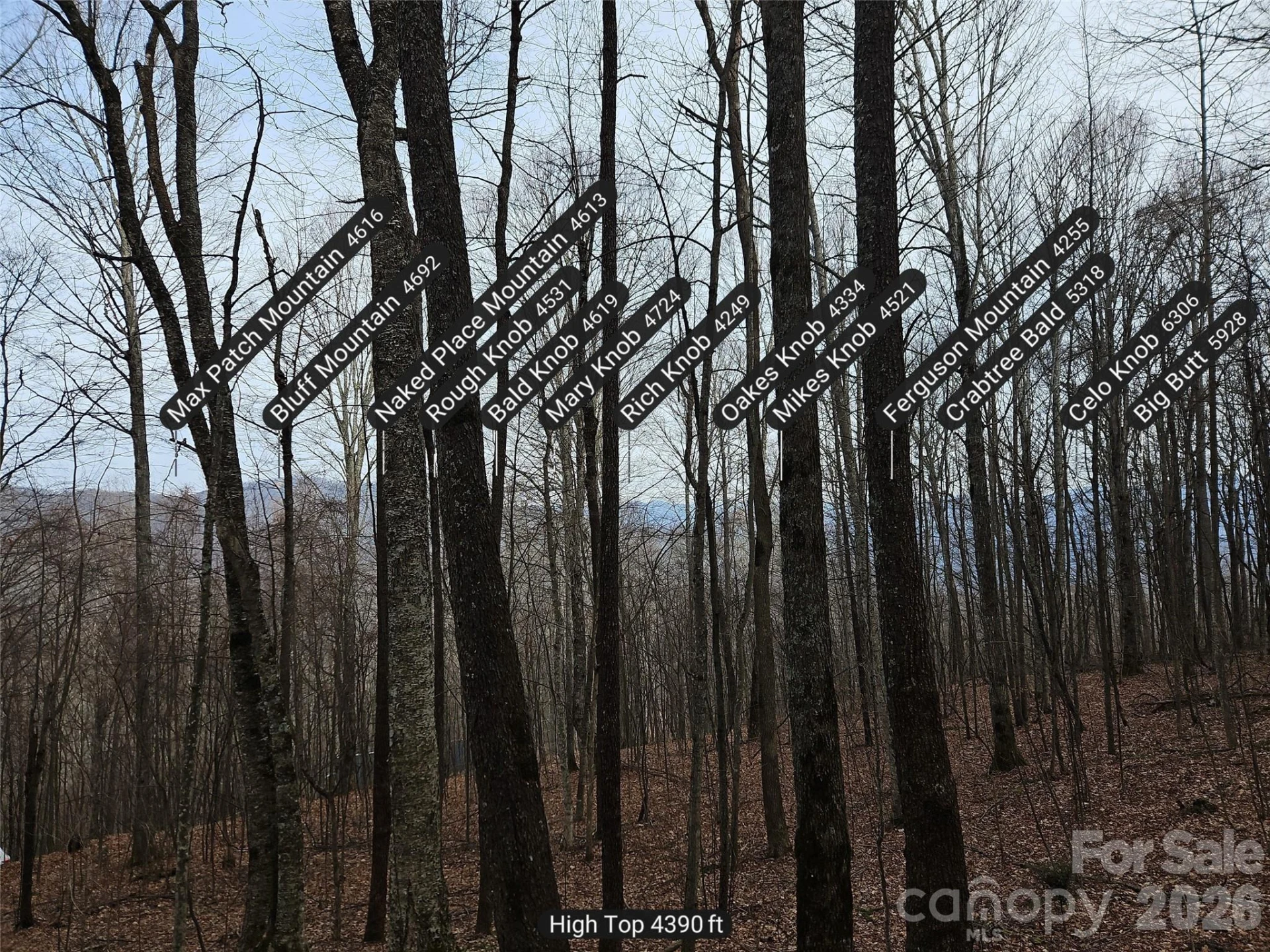 000 Slippery Rock Lane - Photo 6