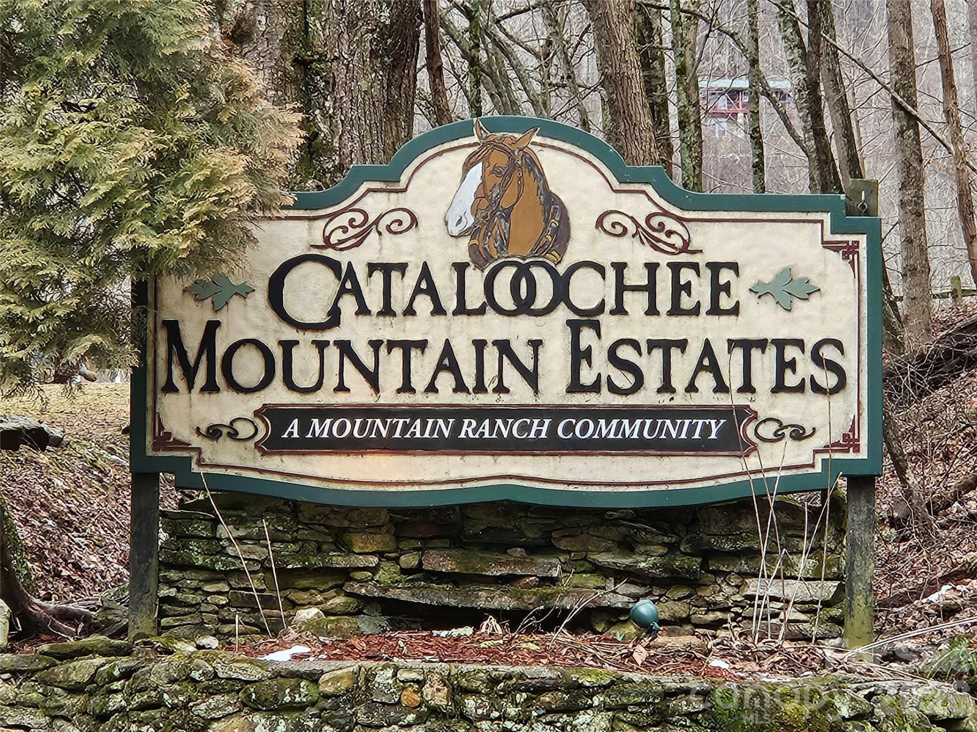 000 Slippery Rock Lane - Photo 10