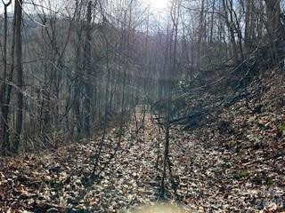 19 Blairstone Lane - Photo 5