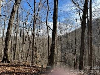 19 Blairstone Lane - Photo 6