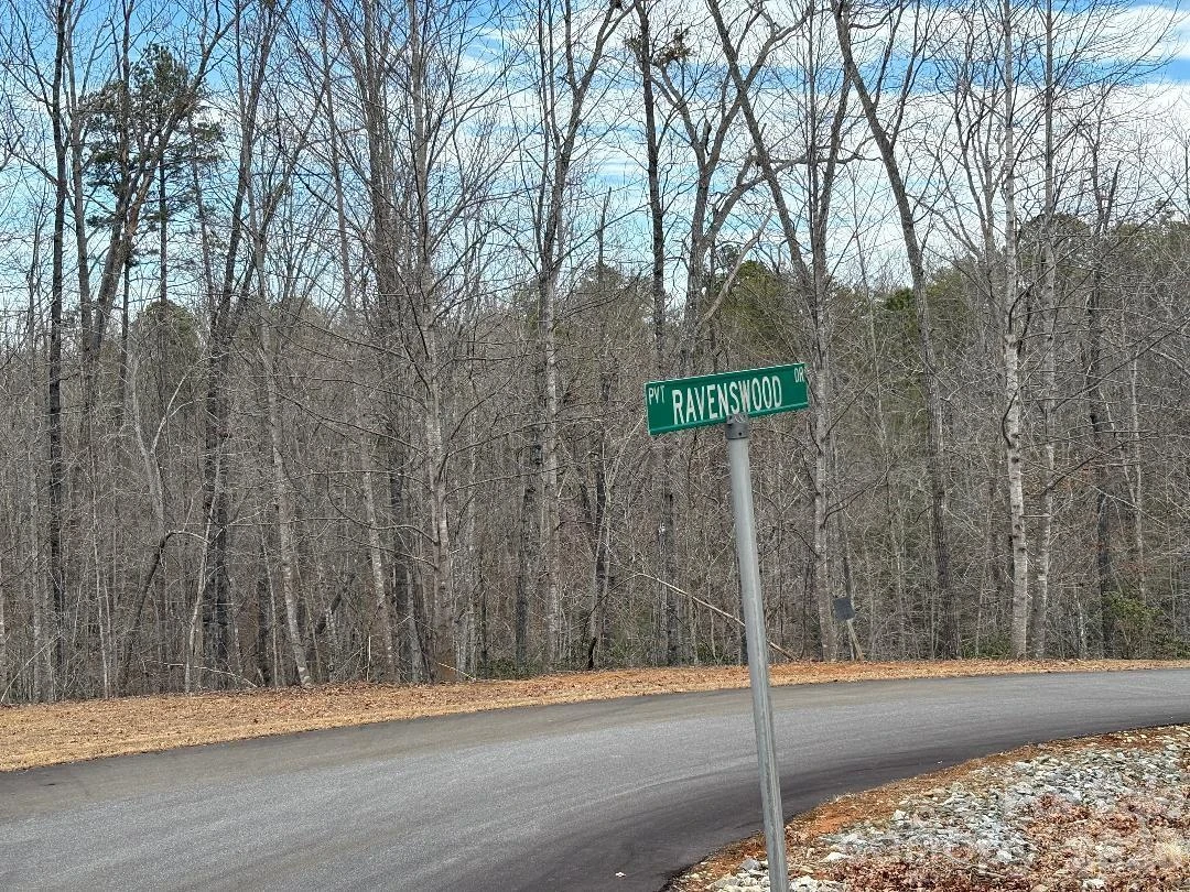 Lot 106 Ravenswood Drive - Photo 2