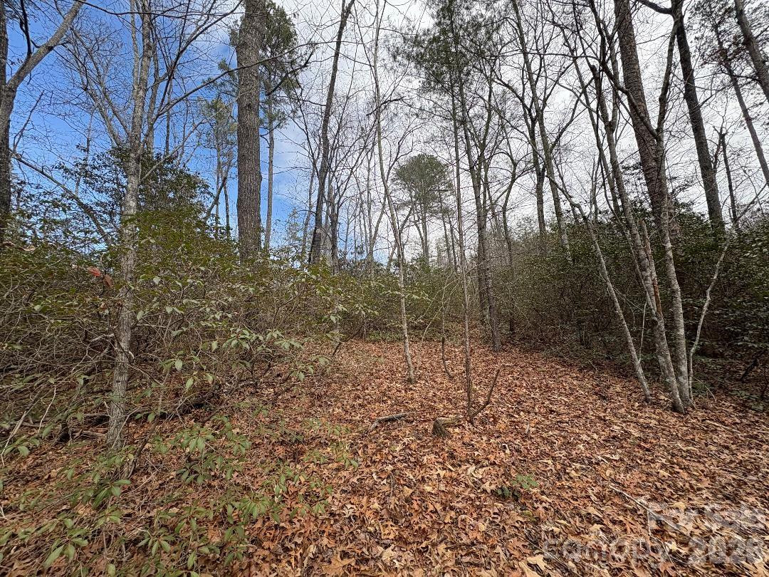 Lot 106 Ravenswood Drive - Photo 4