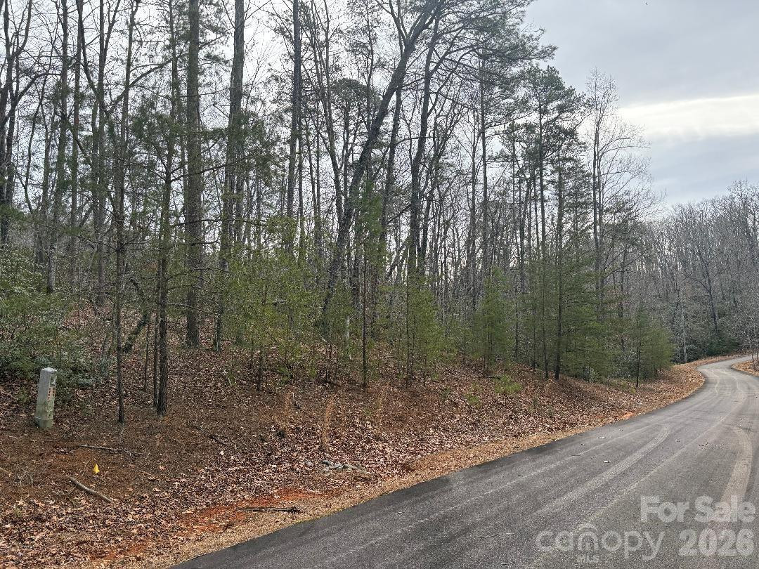 Lot 106 Ravenswood Drive - Photo 6