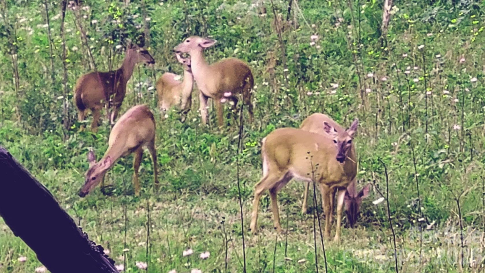 745 Broom Road - Photo 14