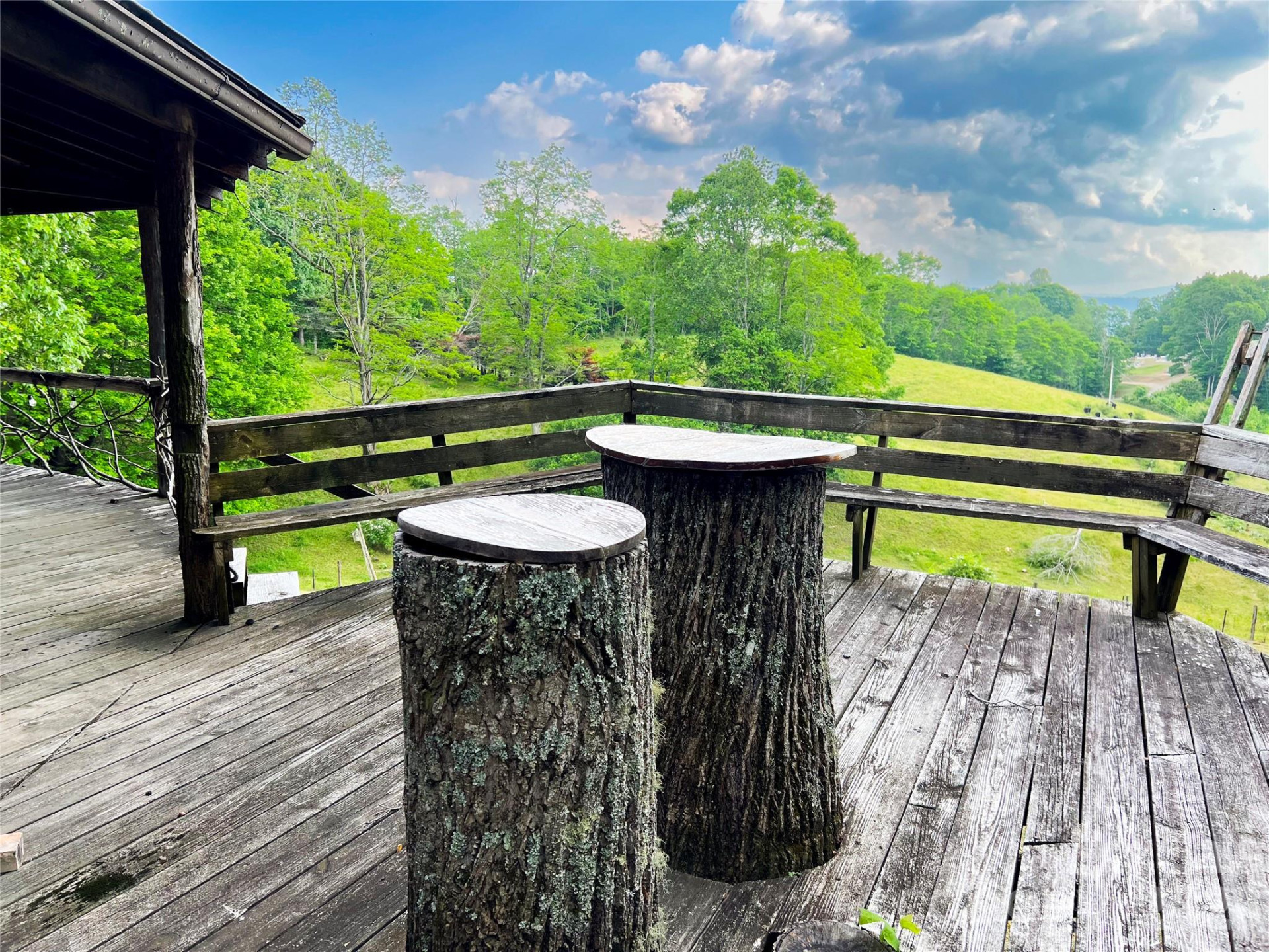 745 Broom Road - Photo 15