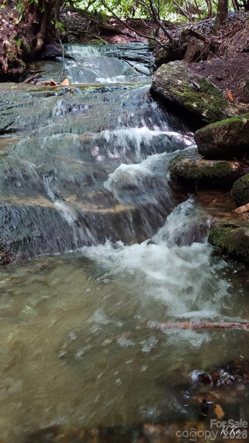 745 Broom Road - Photo 4