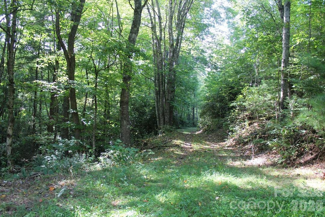 745 Broom Road - Photo 36