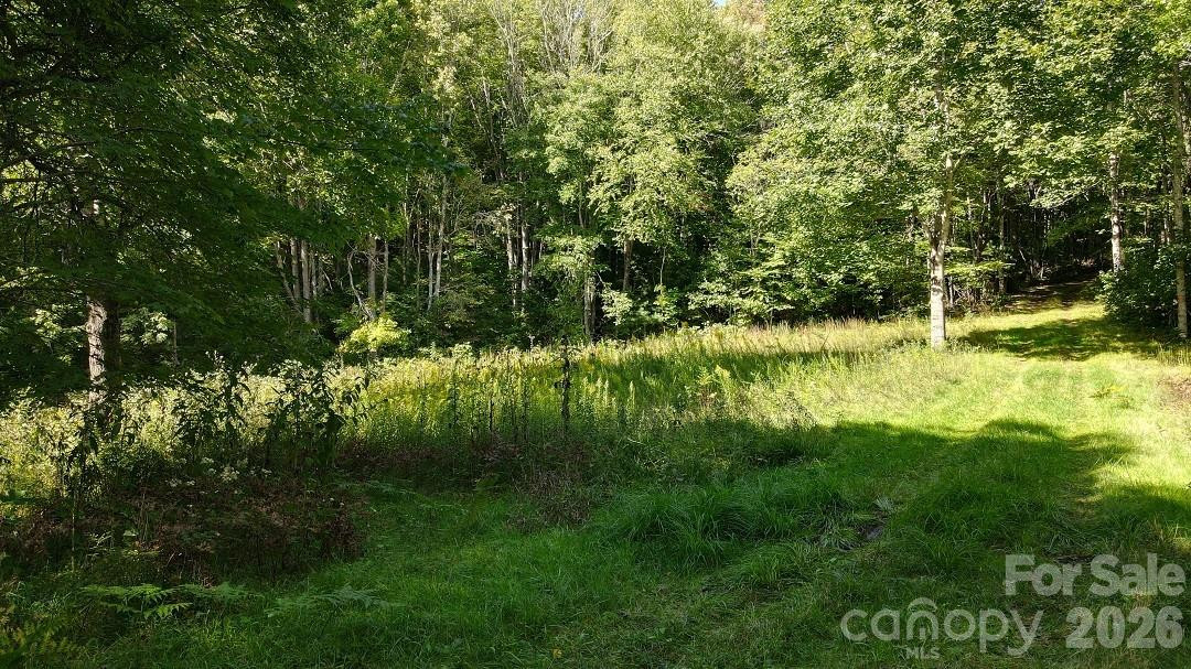 745 Broom Road - Photo 37