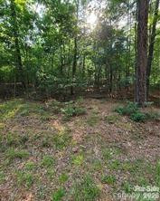 0 Bishop Lane - Photo 2