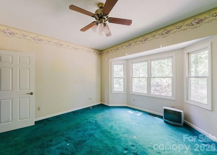 300 Serenity Trail - Photo 12