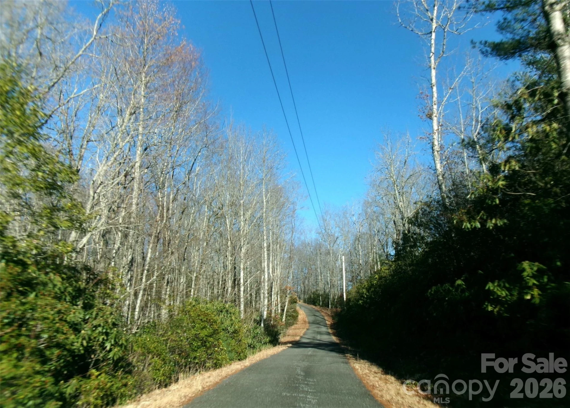 300 Serenity Trail - Photo 3