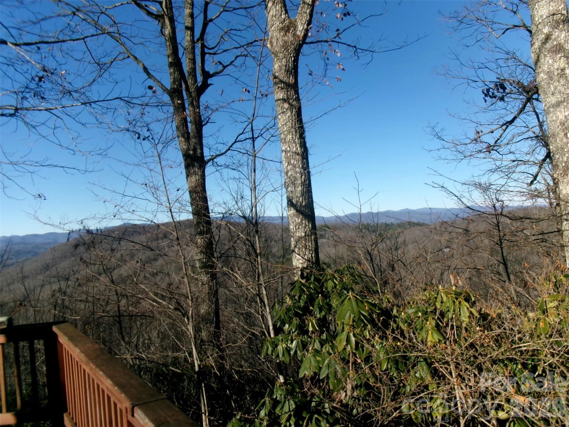 300 Serenity Trail - Photo 5