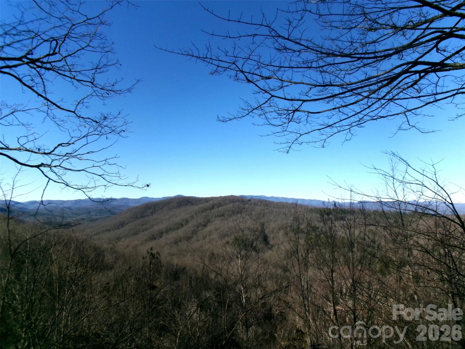 300 Serenity Trail - Photo 6