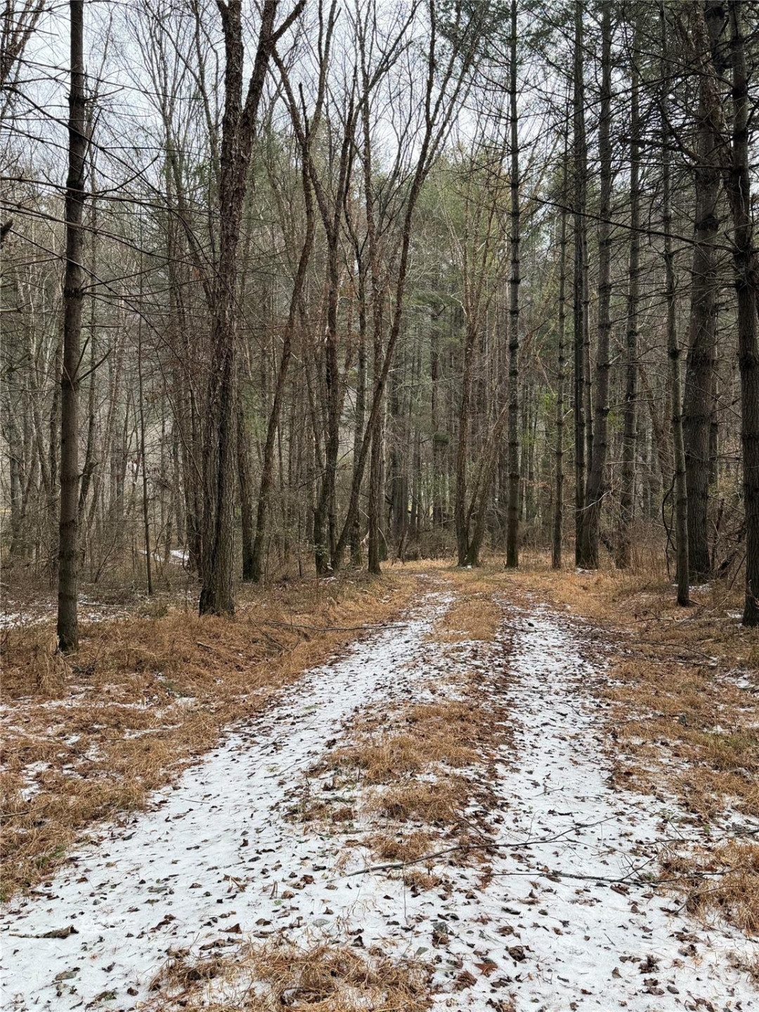 000 Valley Green Drive - Photo 12