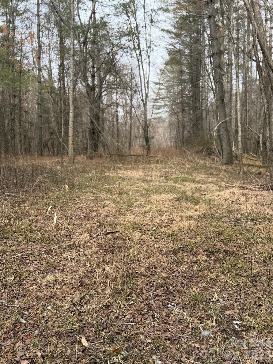 000 Valley Green Drive - Photo 13