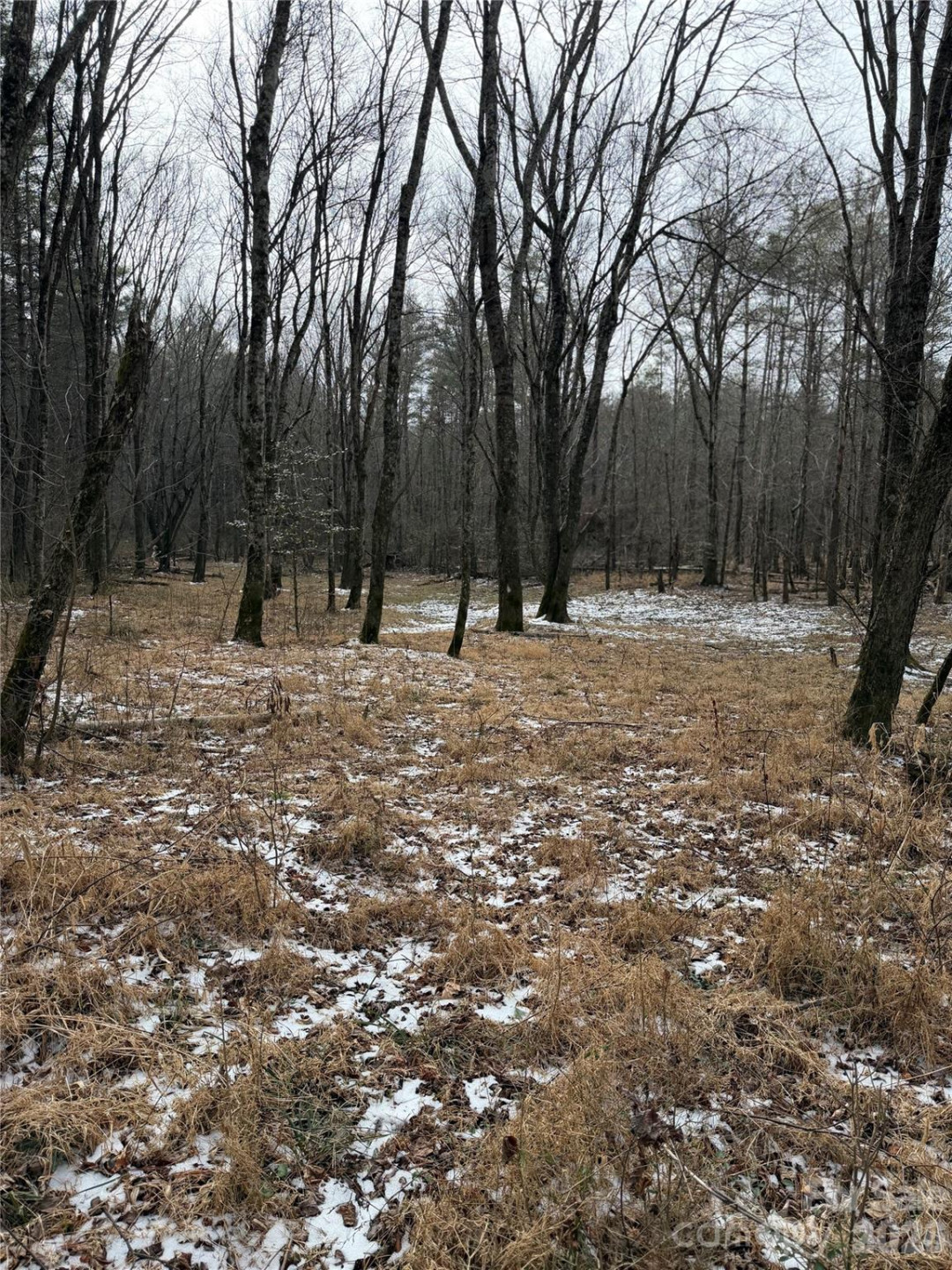 000 Valley Green Drive - Photo 15