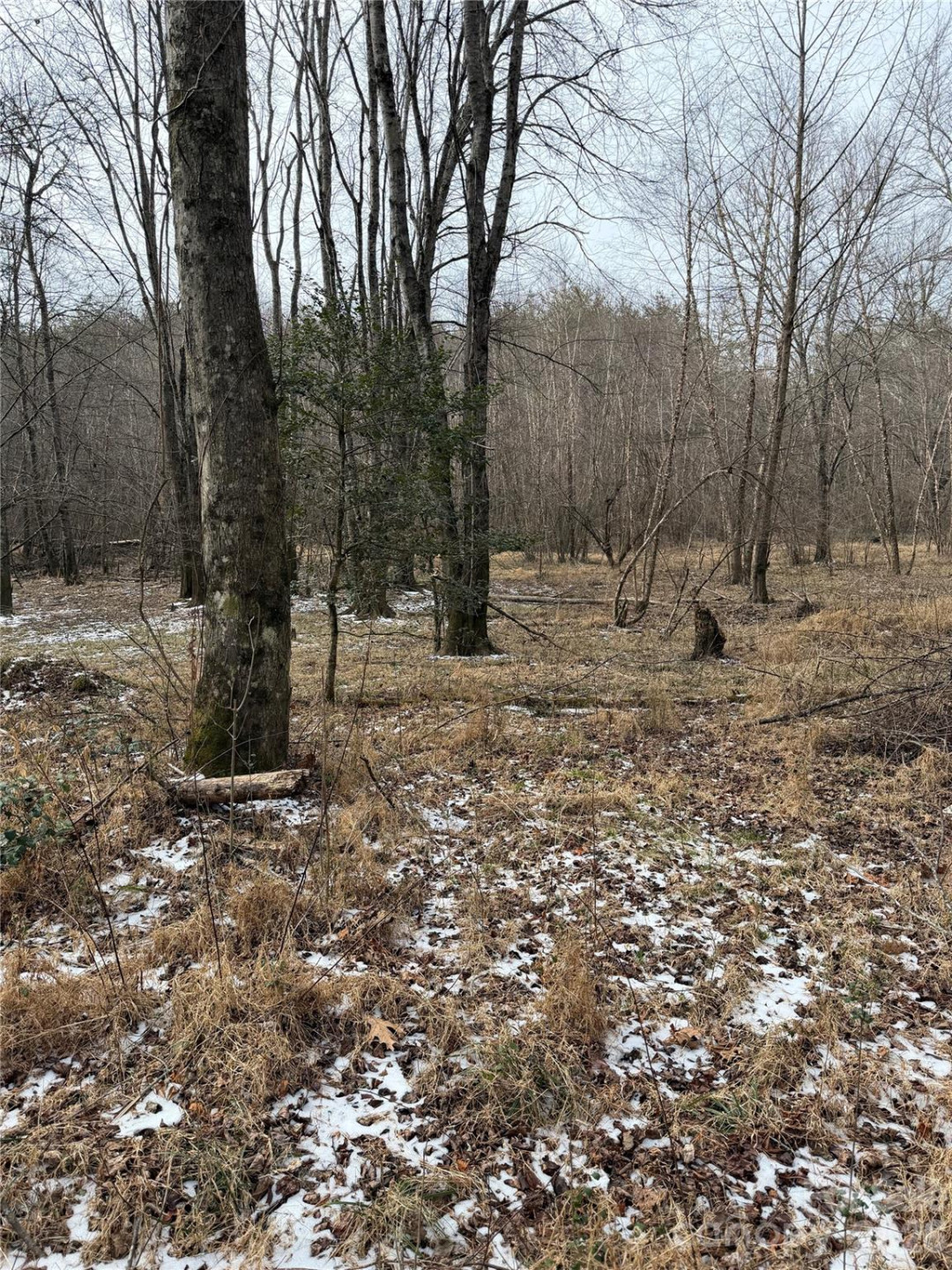 000 Valley Green Drive - Photo 16