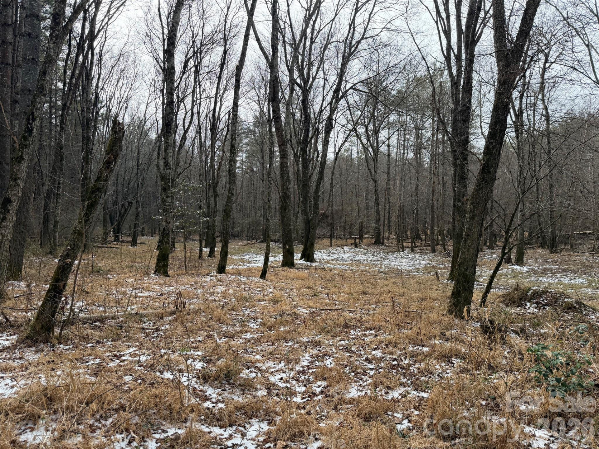 000 Valley Green Drive - Photo 17