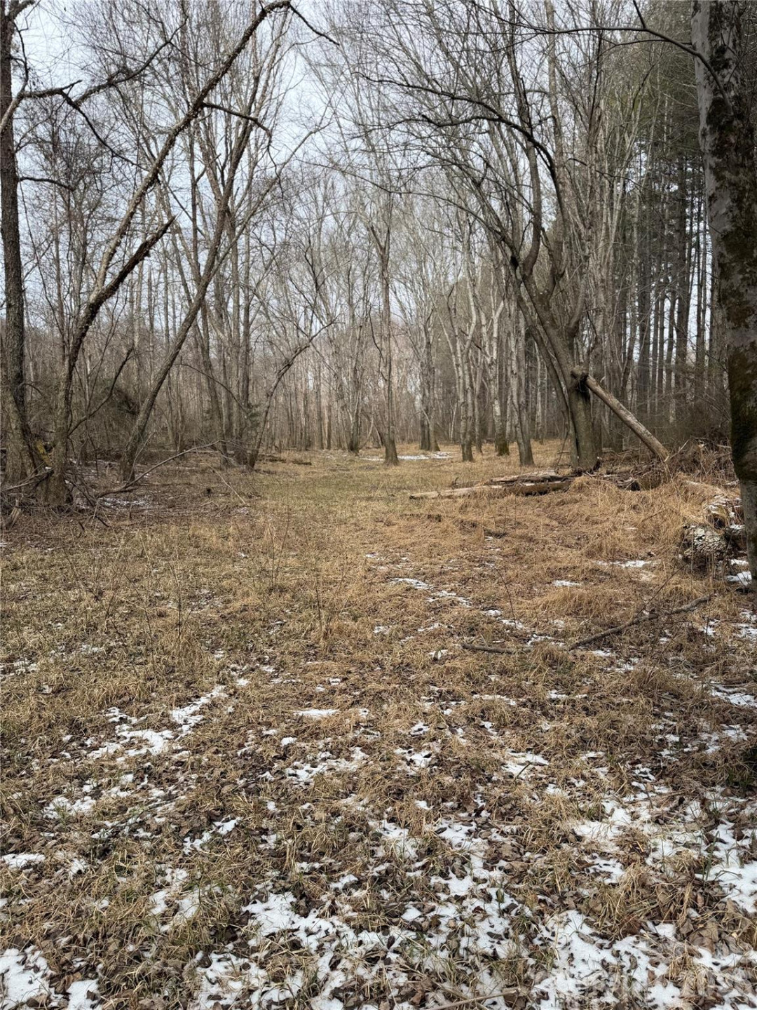 000 Valley Green Drive - Photo 22