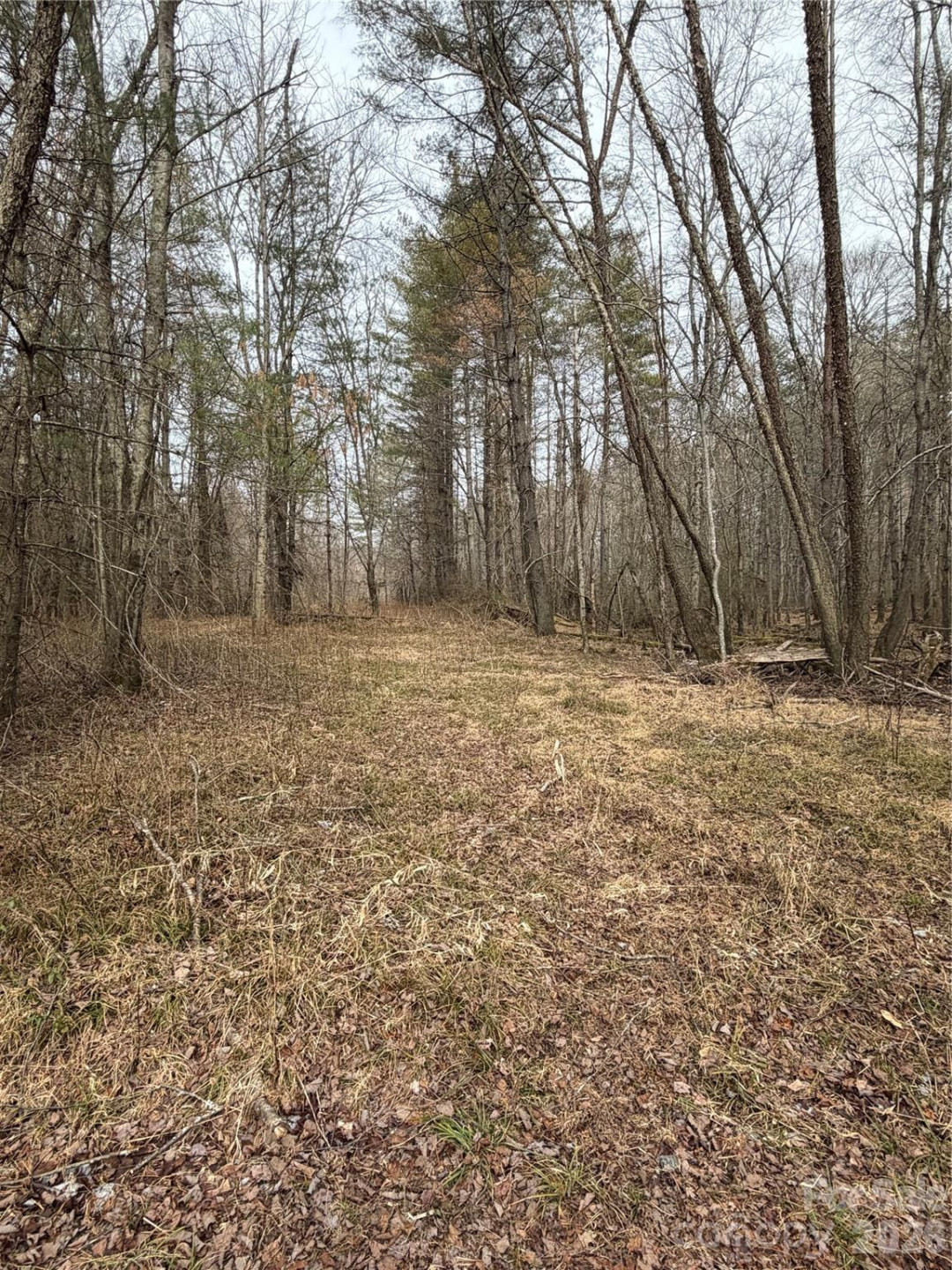 000 Valley Green Drive - Photo 27