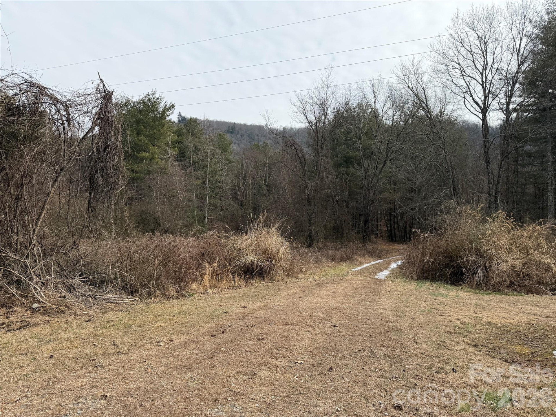 000 Valley Green Drive - Photo 10