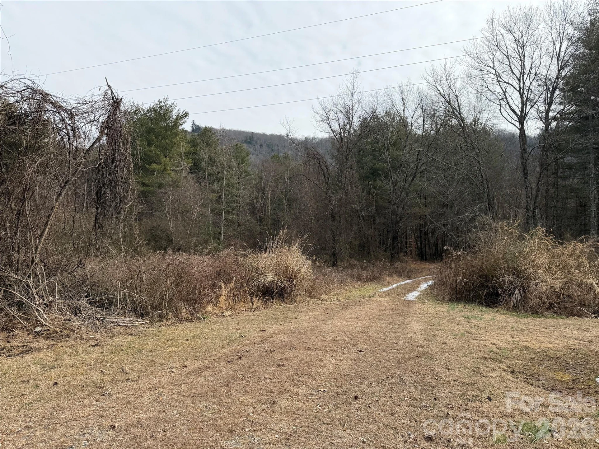 000 Valley Green Drive - Photo 10