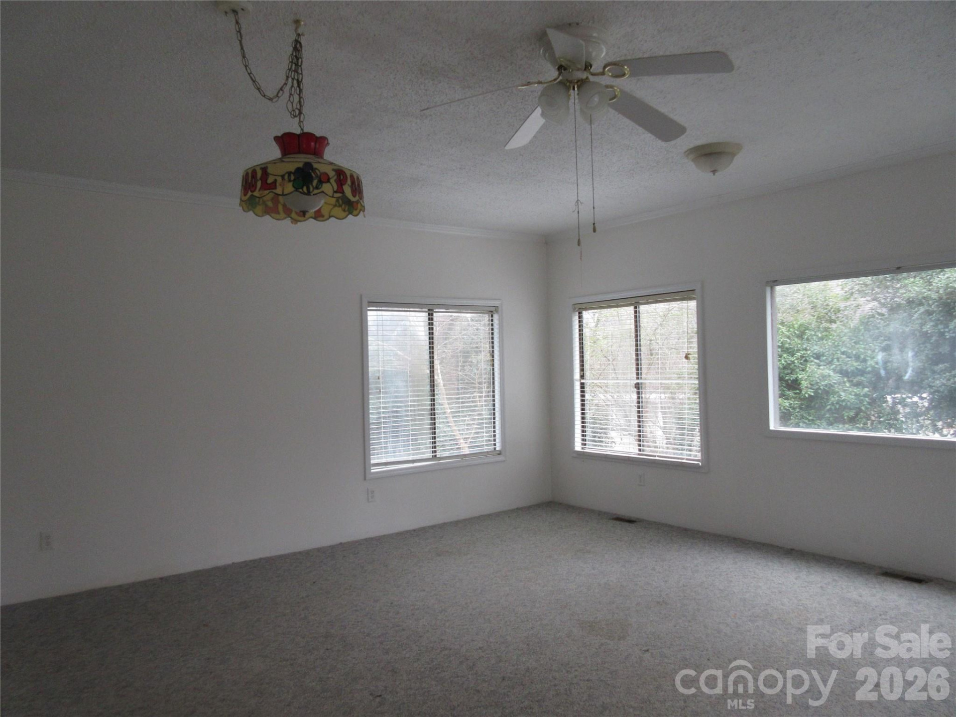 31 Ford Ridge Lane - Photo 6